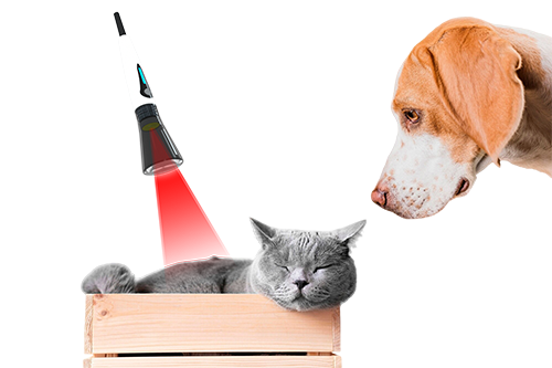 veterinary laser