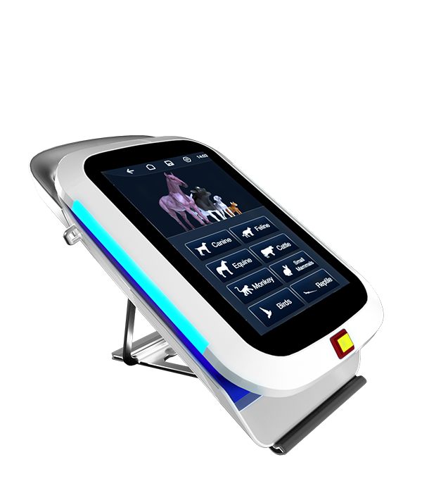 rex-veterinary-laser
